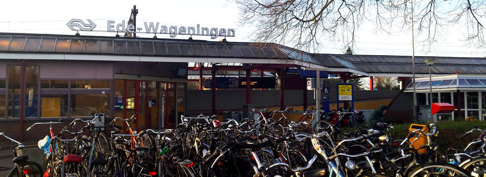 Letselschade advocaat Ede Letselschade advocaat Ede