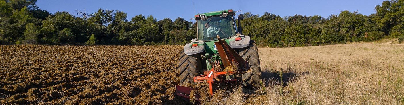 Agrarische en groene sector gaat voor minder bedrijfsongevallen | Letselschade Test